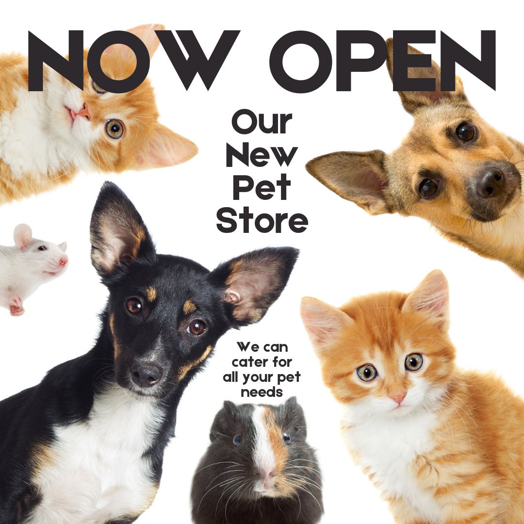 Pet Supplies